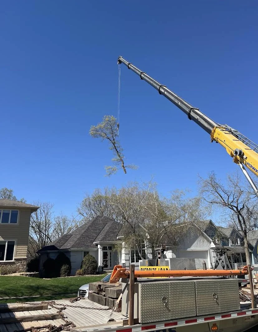 yellow crane lifting tree over house